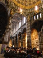 Siena Dom (11)