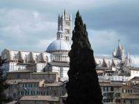 Siena Dom