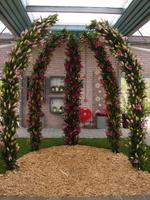 Auch in den Pavillons des Keukenhofes ist es schön