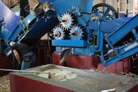 den Grundstoff für Rum, Sirup und Schnaps