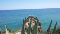 Algarve 