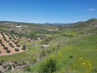 Vía Verde del Aceite (16)