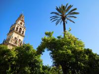 Córdoba (9)