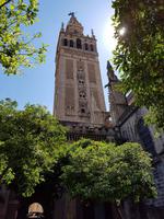 Sevilla (12)