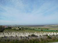 Doñana Park (12)