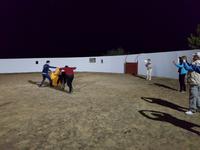 Cortijo Salinas (21)