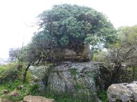 El Torcal NP