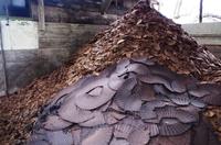 Besuch auf dem Landgut