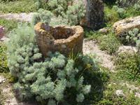 Archeologische Zone Selinunte