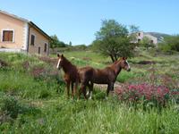 Agriturismo 