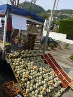 Lipari Inselrundfahrt