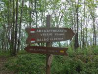 Italien, Cilento, Wanderung Monte Stella