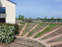 Italien, Paestum, Wasserbüffelfarm Vannulo