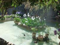 Im Garten des Landgutes