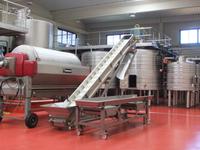 In der Weinkellerei Miguel Oliver