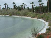 Im botanischen Garten 