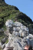 Wir werden begrüßt 