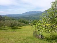 Impressionen Cilento