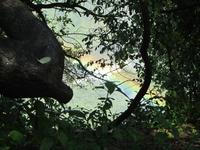 Linvingstone Victoria Wasserfälle