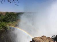 Livingstone an den Wasserfällen