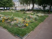 Kleine grüne Insel im Zentrum von Versailles