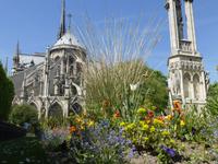 Notre Dame 