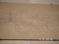 DSCI0099