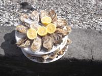 Austernessen in Cancale
