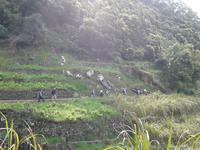 Wanderung von Marocos nach Machico