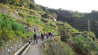 Wanderung von Marocos nach Machico