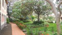 Botanischer Garten im Hotel