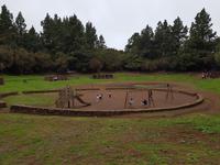 Teneriffa - Inselhüpfen auf den Kanaren - 12 Tage Rundreise auf den Kanarische Inseln