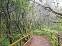 La Gomera - Inselhüpfen auf den Kanaren - 12 Tage Rundreise auf den Kanarische Inseln