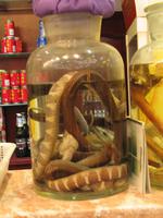 Shanghai - Schlangenschnaps -Abendessen