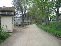 Besuch der Insel Sark