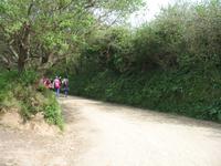 Besuch der Insel Sark