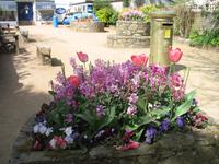 Besuch der Insel Sark