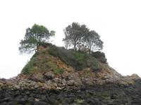 Mittagspause in der Bouley Bay