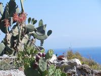 Lipari