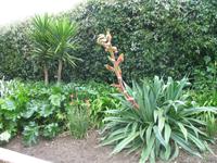 Besuch des Privatgartens der Familie Miles