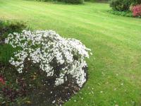 Besuch des Privatgartens der Familie Miles