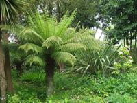 Besuch des Privatgartens der Familie Miles