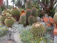 Forio, Park Hotel Terme Mediterraneo