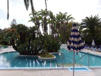 Forio, Park Hotel Terme Mediterraneo