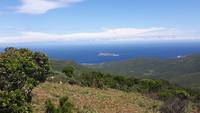 Cap Corse (Isola Giraglia)