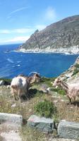 Cap Corse (Westküste)