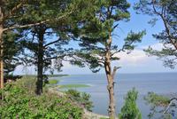 Blick vom Thomas Mann Haus in Nida