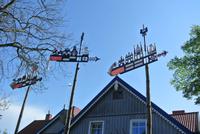 Stammböäume in Nida 