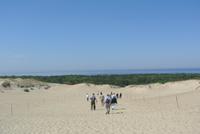 Tote Düne auf der Kuhrischen Nehrung in Litauen 