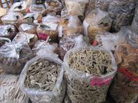 Kanton - Heilmittel-Markt